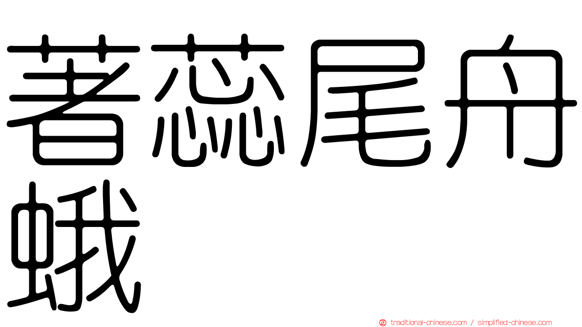 著蕊尾舟蛾
