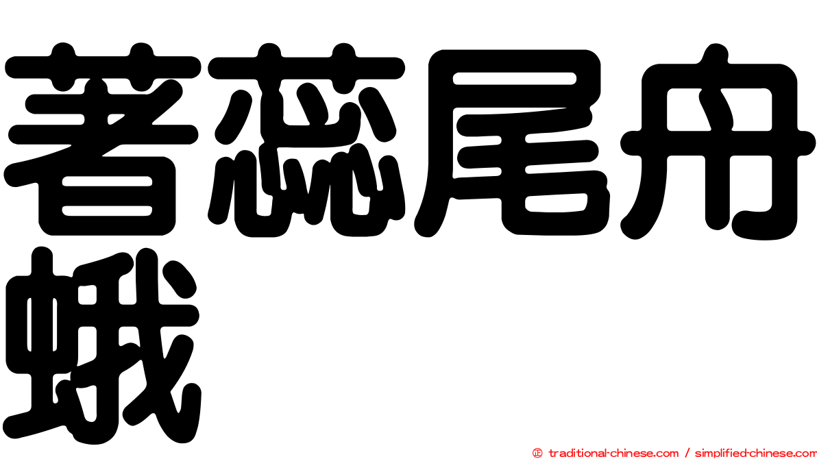 著蕊尾舟蛾