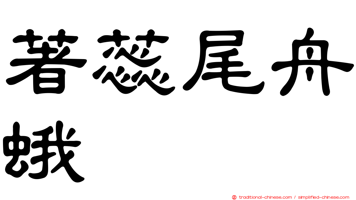 著蕊尾舟蛾