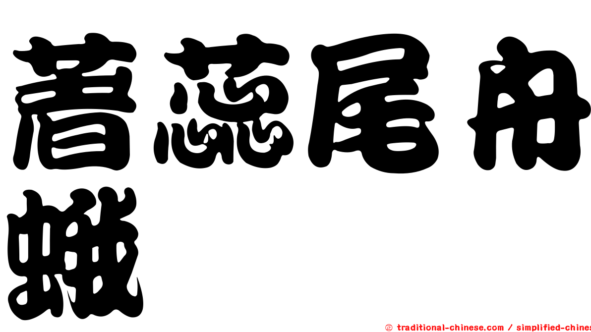 著蕊尾舟蛾
