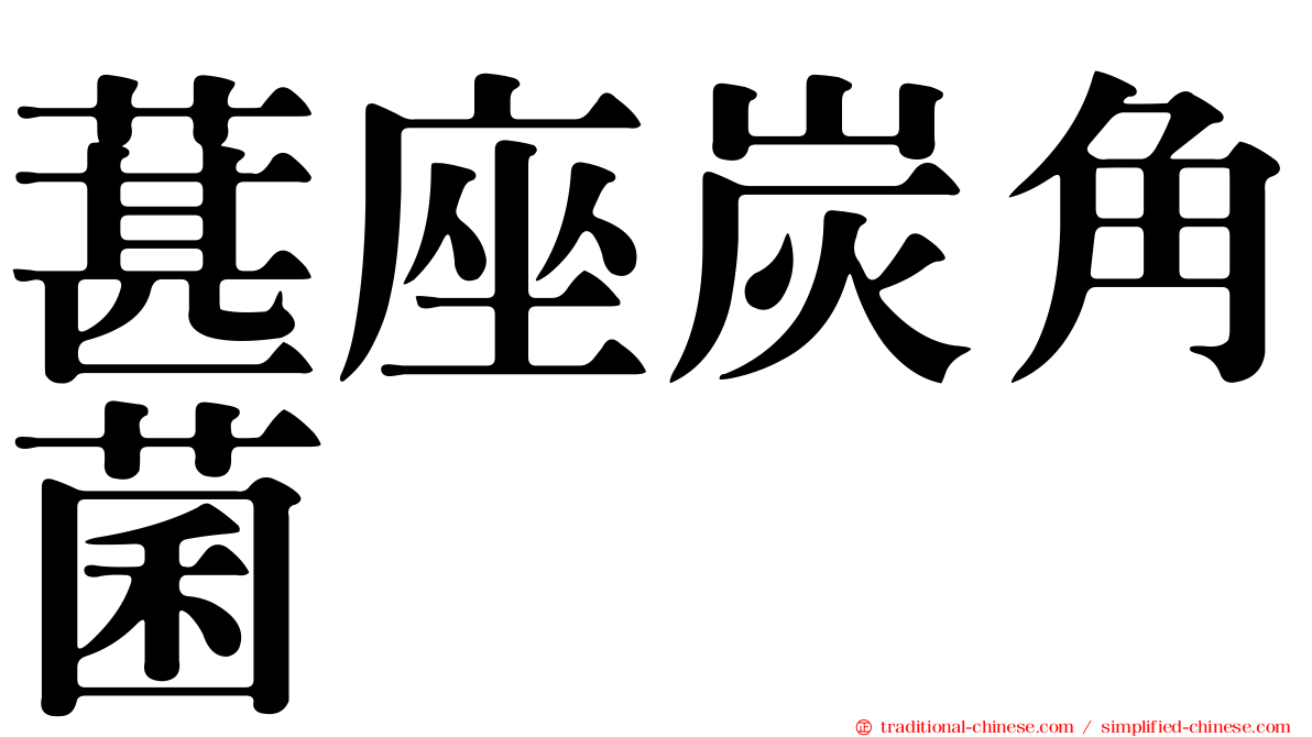 葚座炭角菌