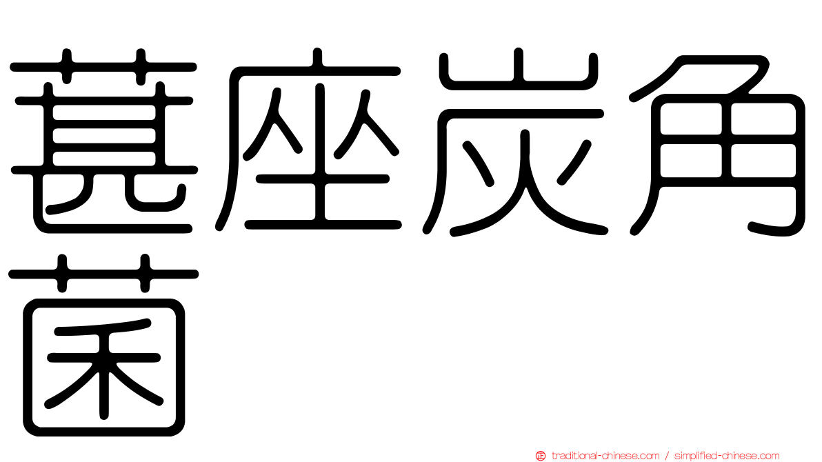 葚座炭角菌