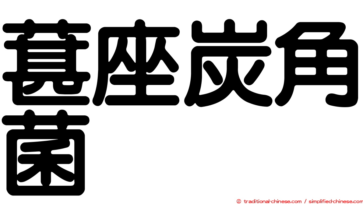 葚座炭角菌