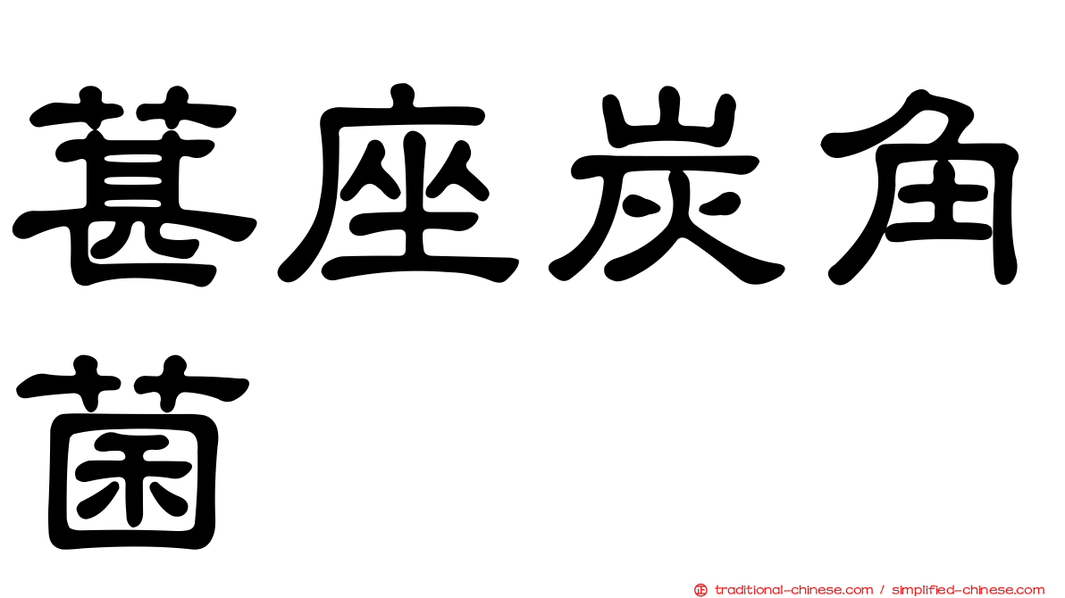 葚座炭角菌