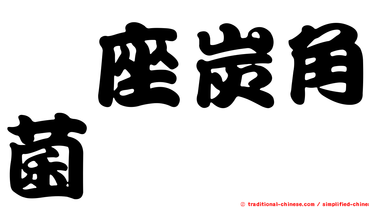 葚座炭角菌