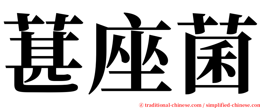 葚座菌 serif font