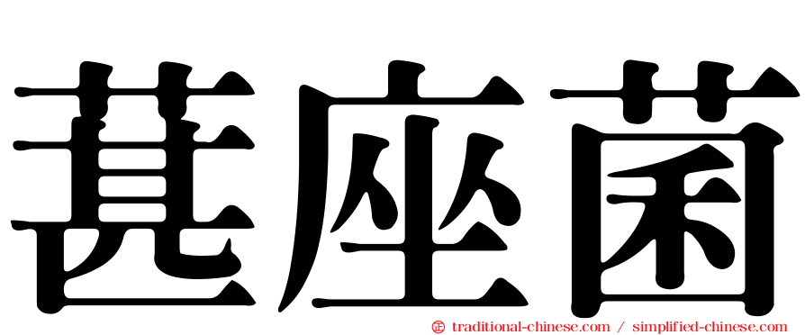 葚座菌