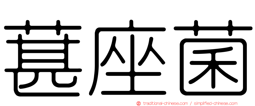 葚座菌