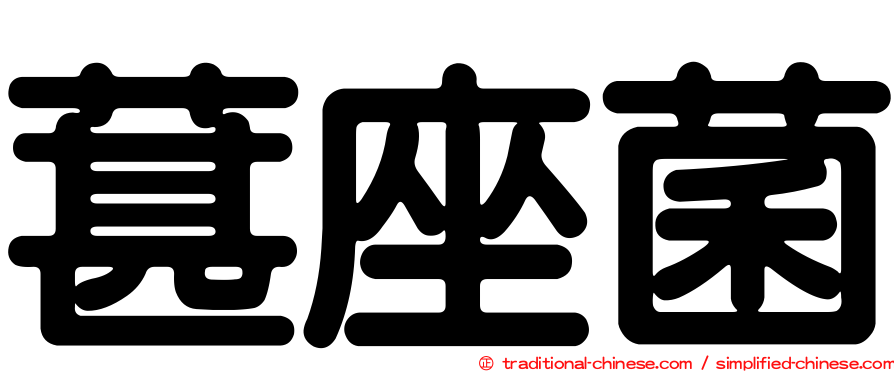 葚座菌