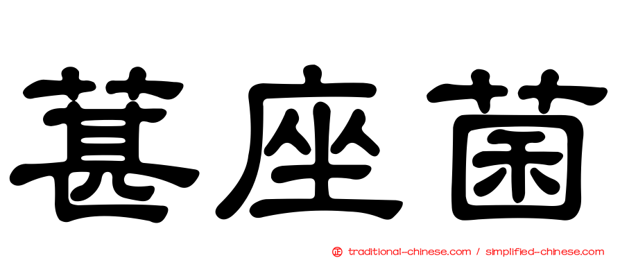 葚座菌