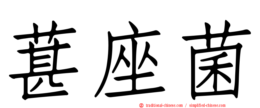 葚座菌