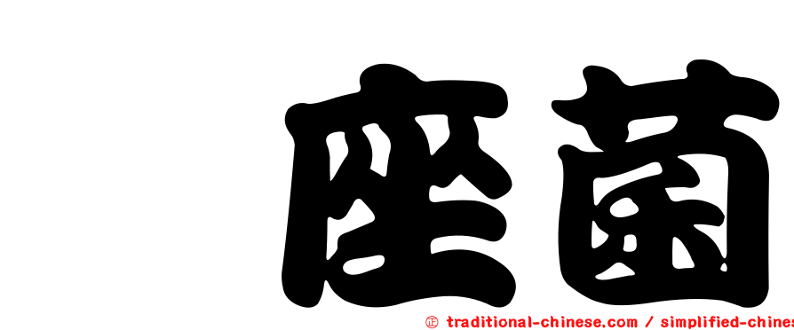 葚座菌