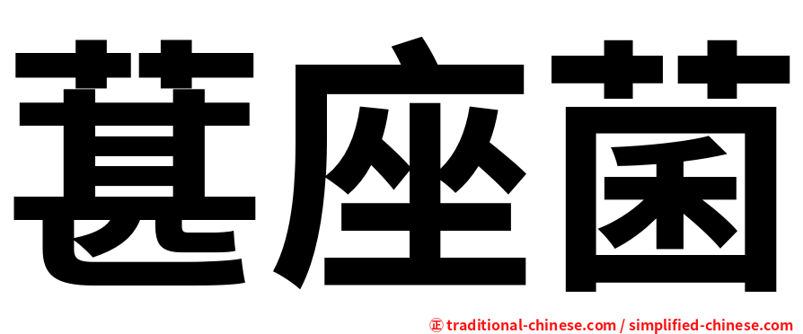 葚座菌
