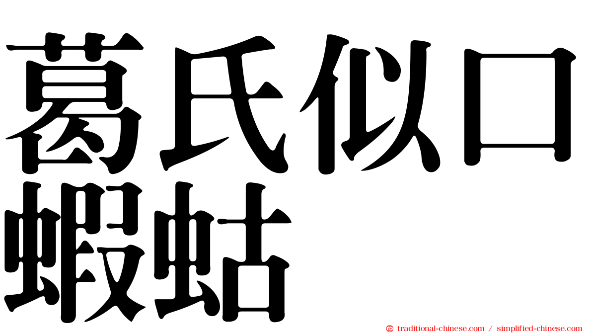 葛氏似口蝦蛄