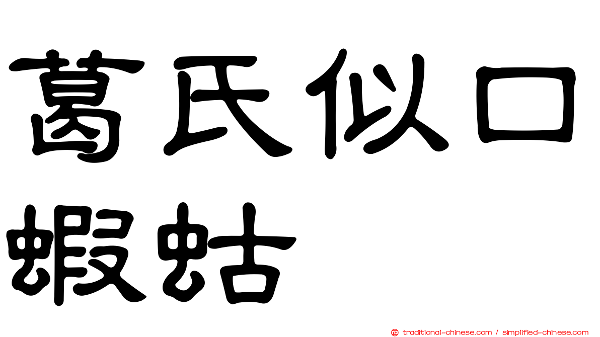葛氏似口蝦蛄