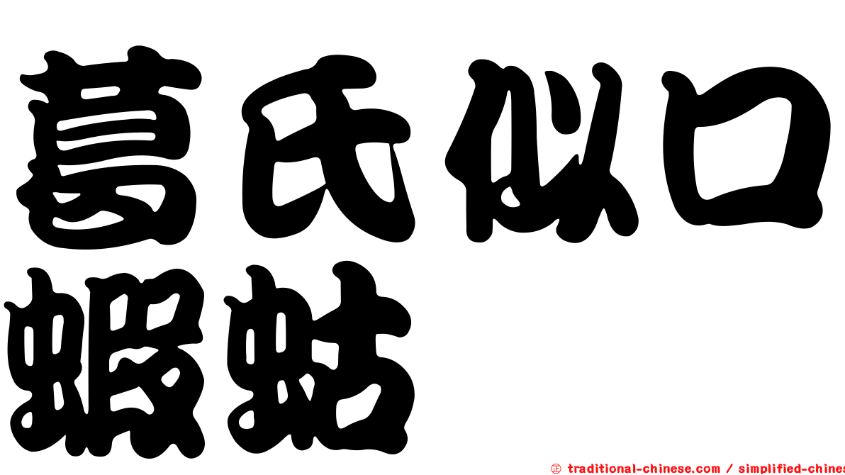 葛氏似口蝦蛄