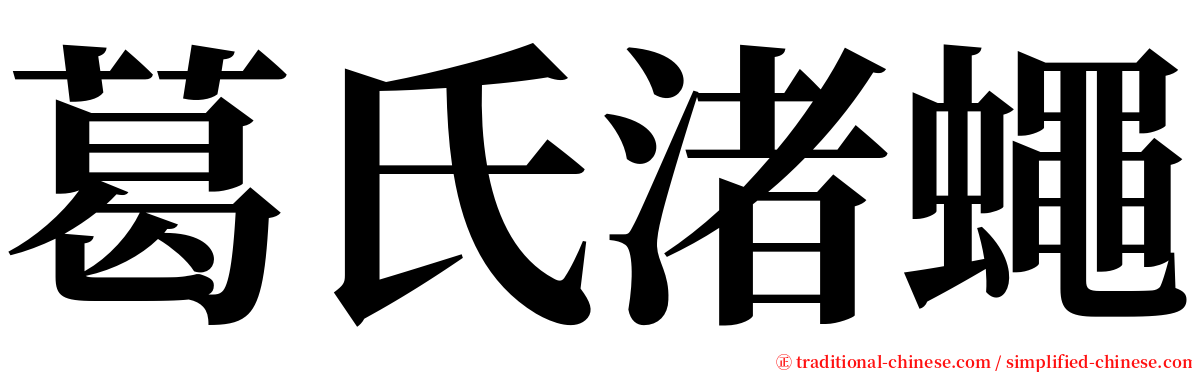 葛氏渚蠅 serif font