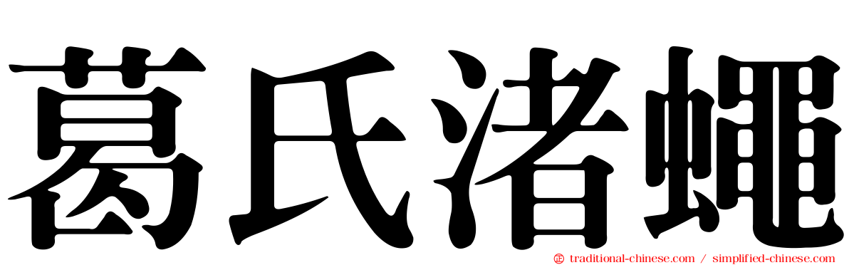 葛氏渚蠅