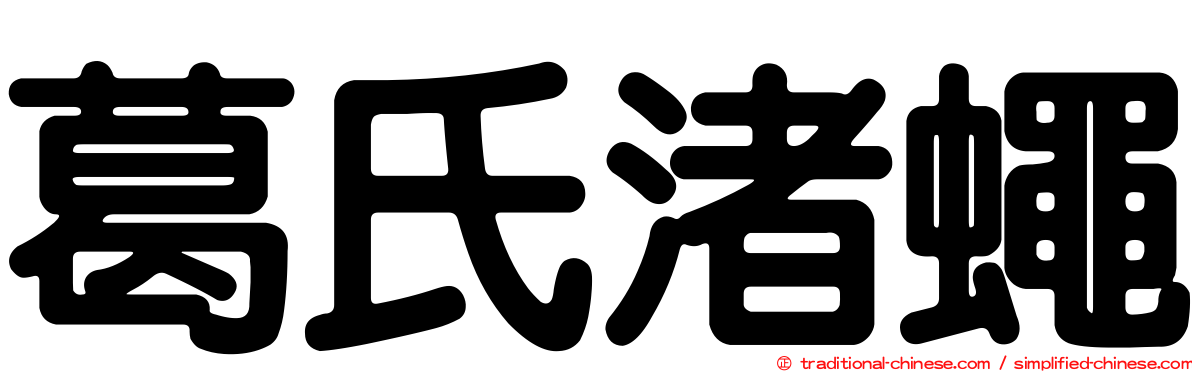 葛氏渚蠅