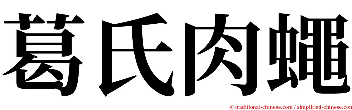 葛氏肉蠅 serif font
