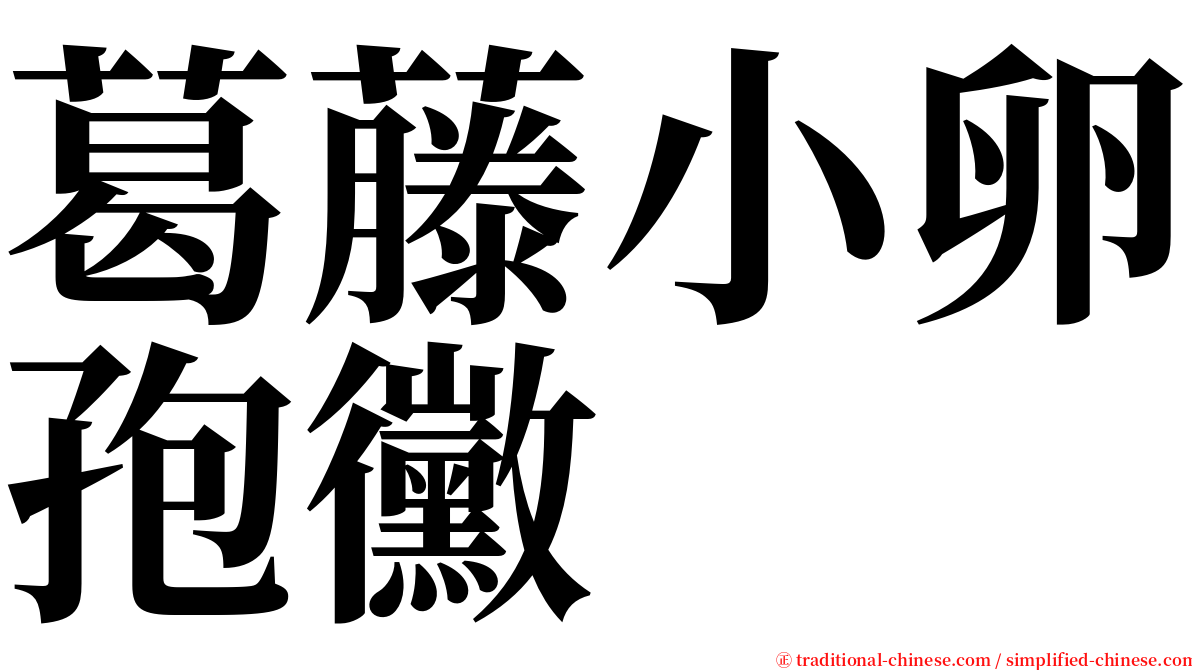 葛藤小卵孢黴 serif font