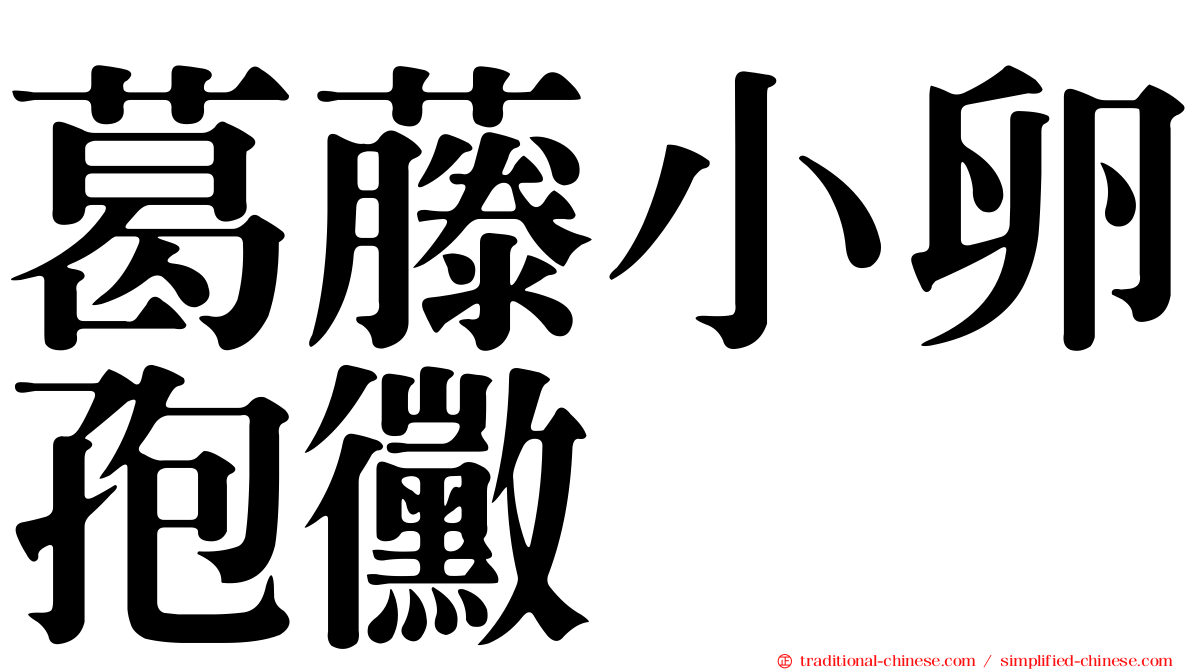 葛藤小卵孢黴