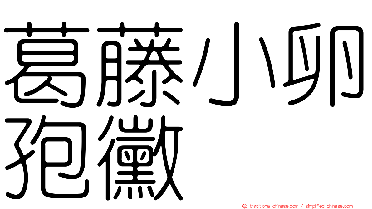葛藤小卵孢黴