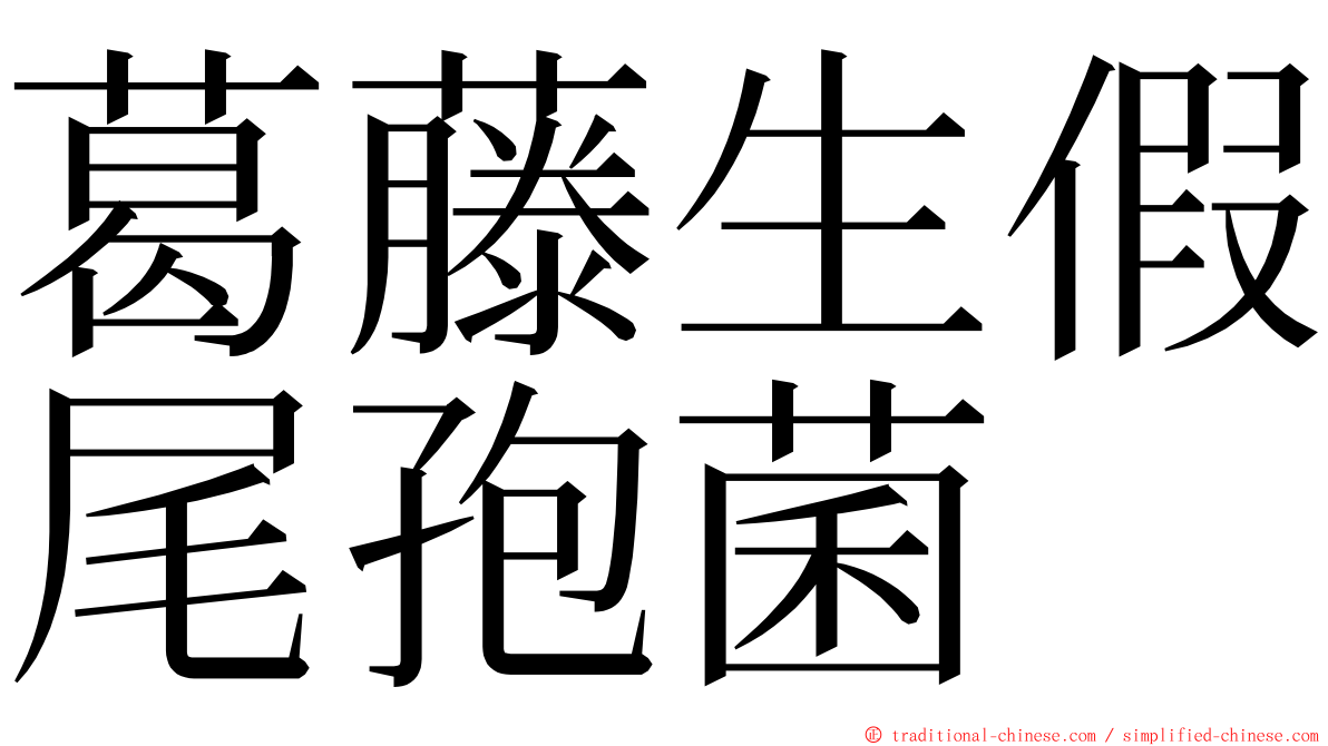 葛藤生假尾孢菌 ming font