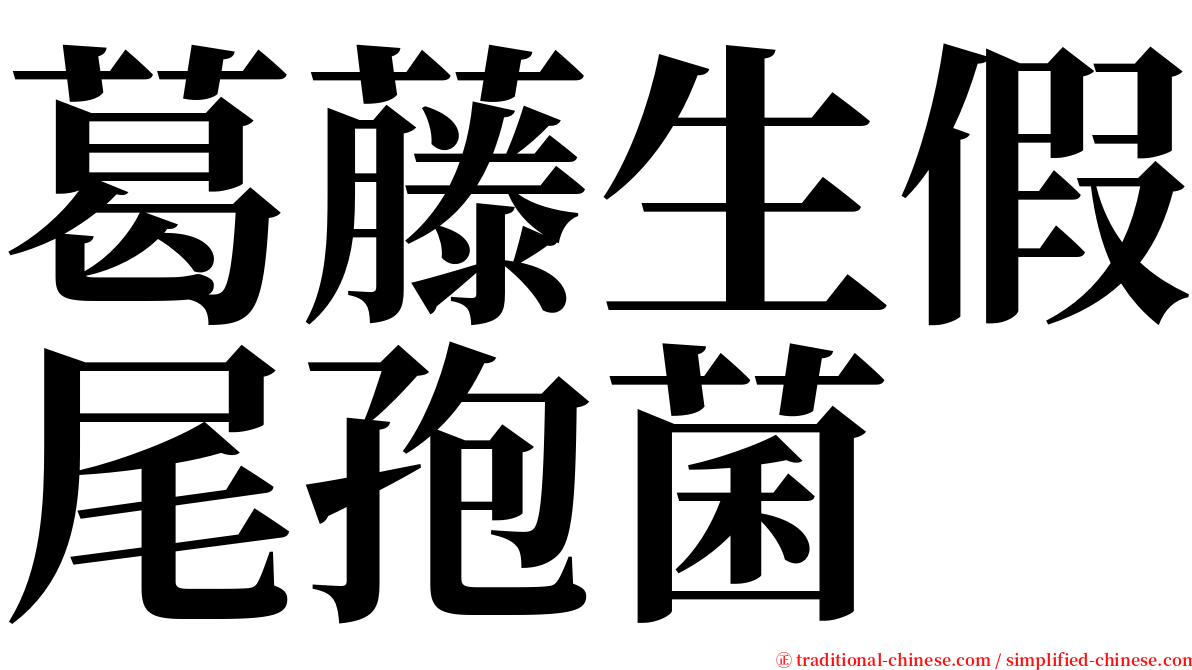 葛藤生假尾孢菌 serif font