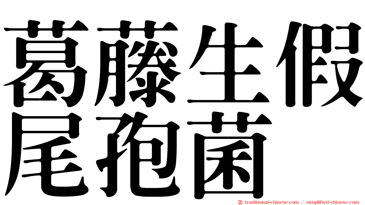葛藤生假尾孢菌