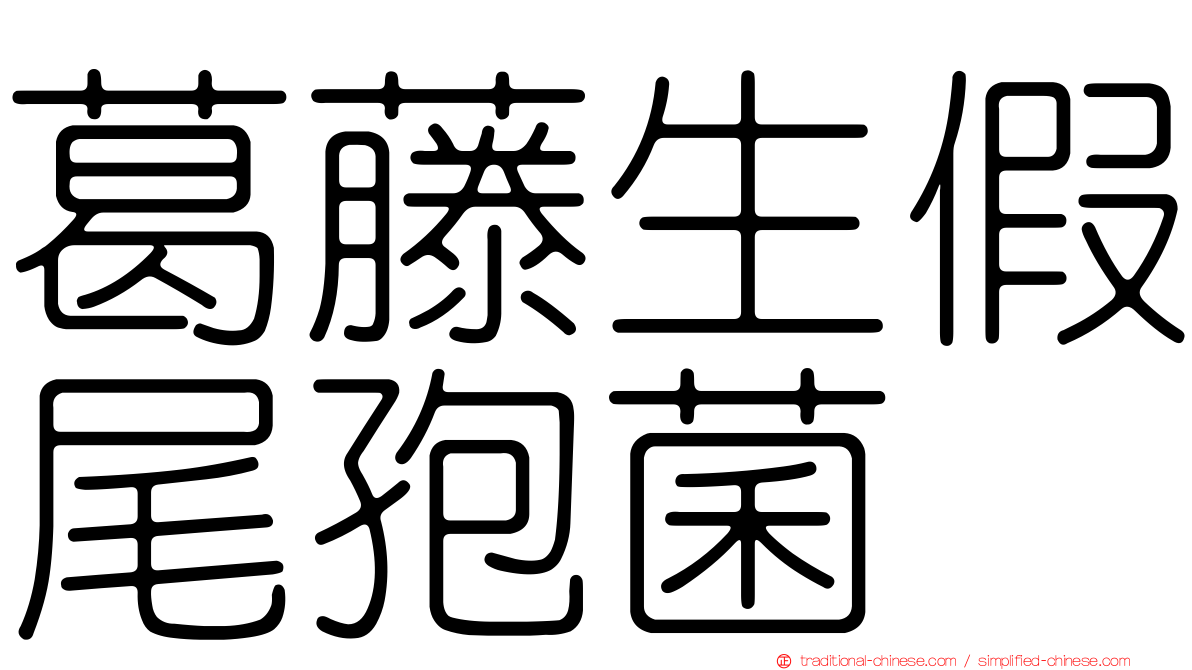 葛藤生假尾孢菌