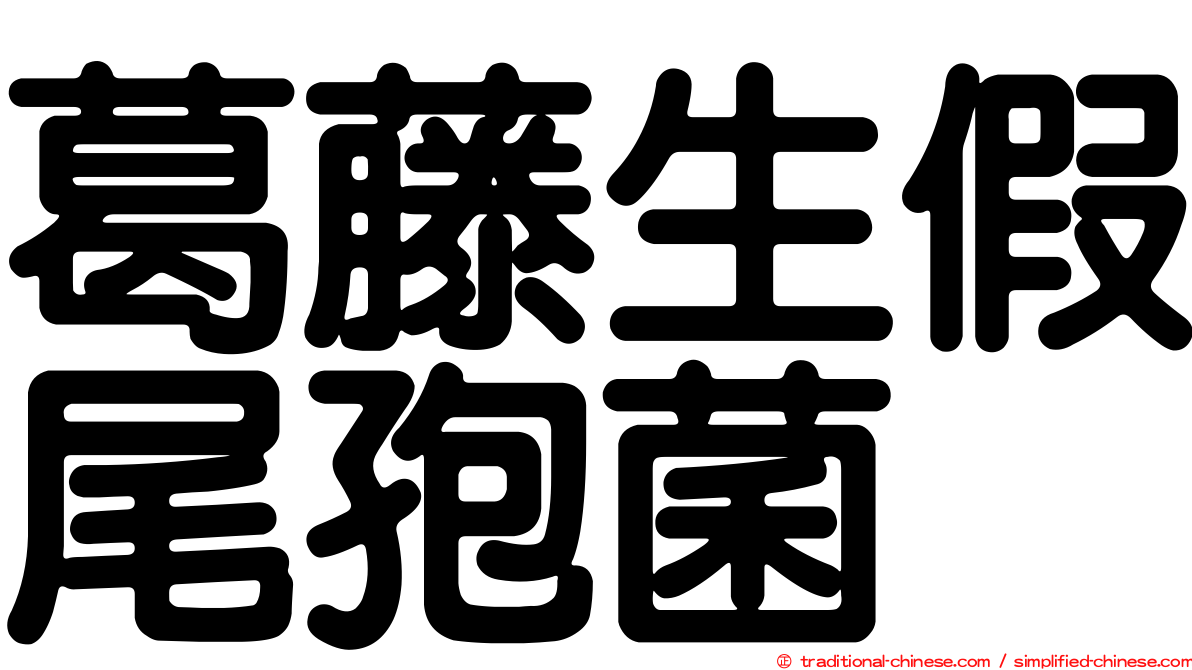 葛藤生假尾孢菌
