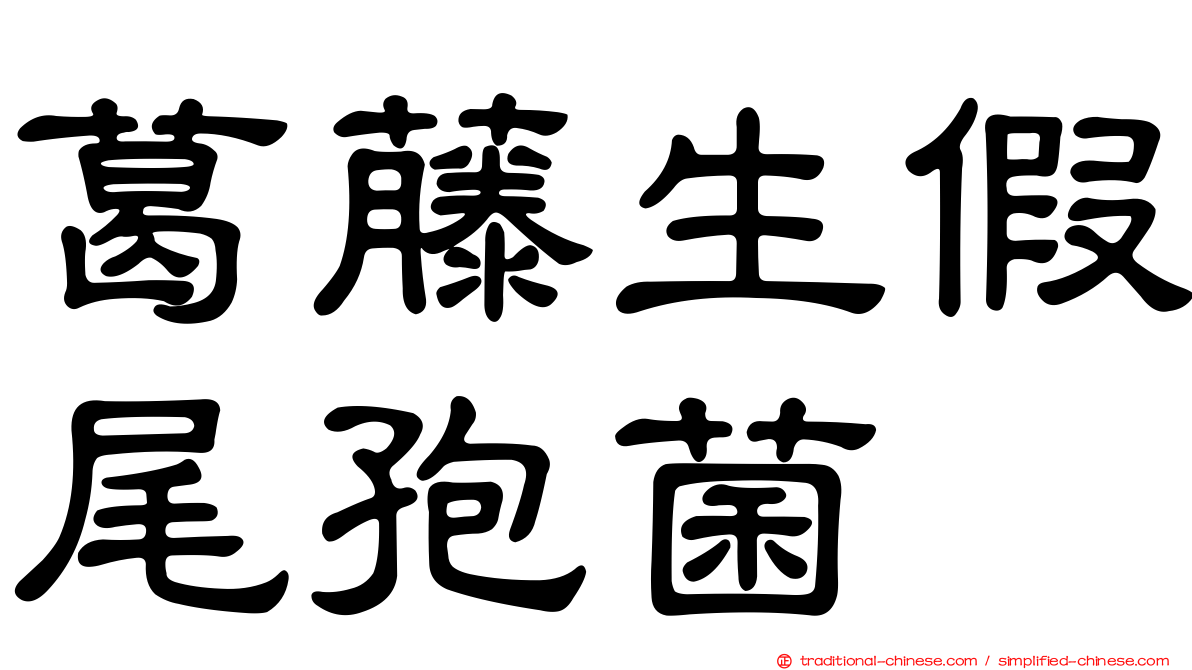 葛藤生假尾孢菌
