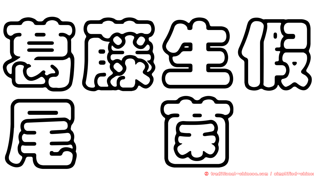 葛藤生假尾孢菌