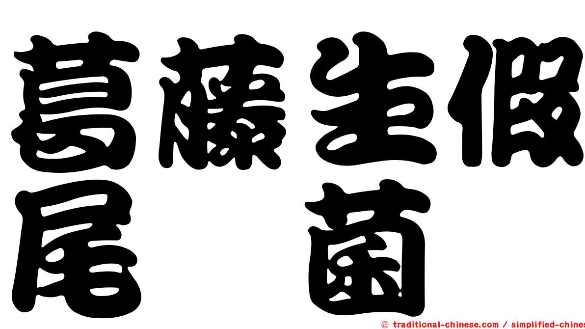 葛藤生假尾孢菌