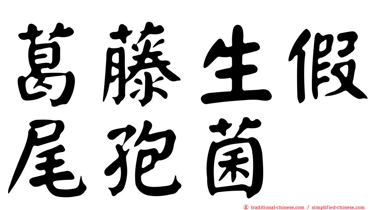 葛藤生假尾孢菌