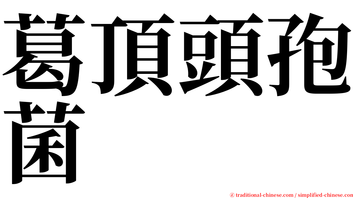 葛頂頭孢菌 serif font
