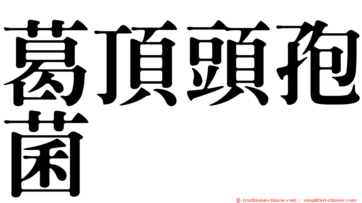 葛頂頭孢菌
