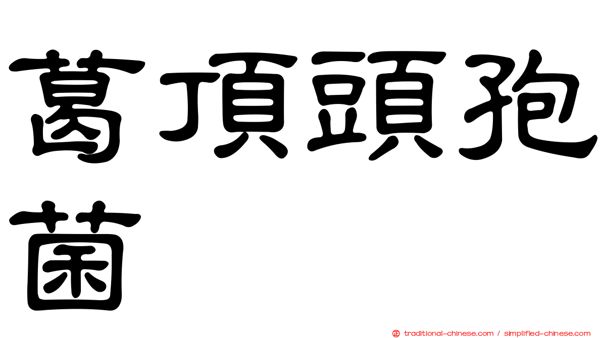 葛頂頭孢菌