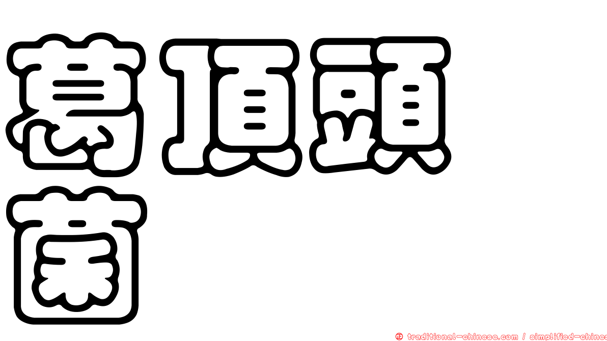 葛頂頭孢菌