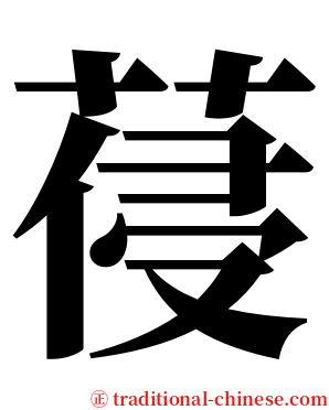 葠 serif font
