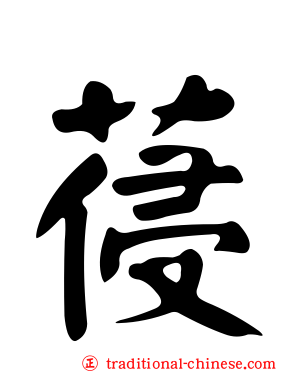 葠