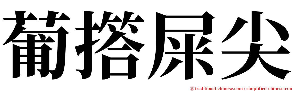 葡撘屎尖 serif font