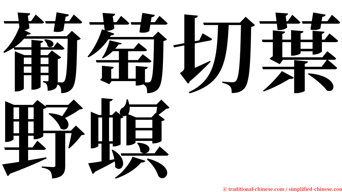 葡萄切葉野螟 serif font