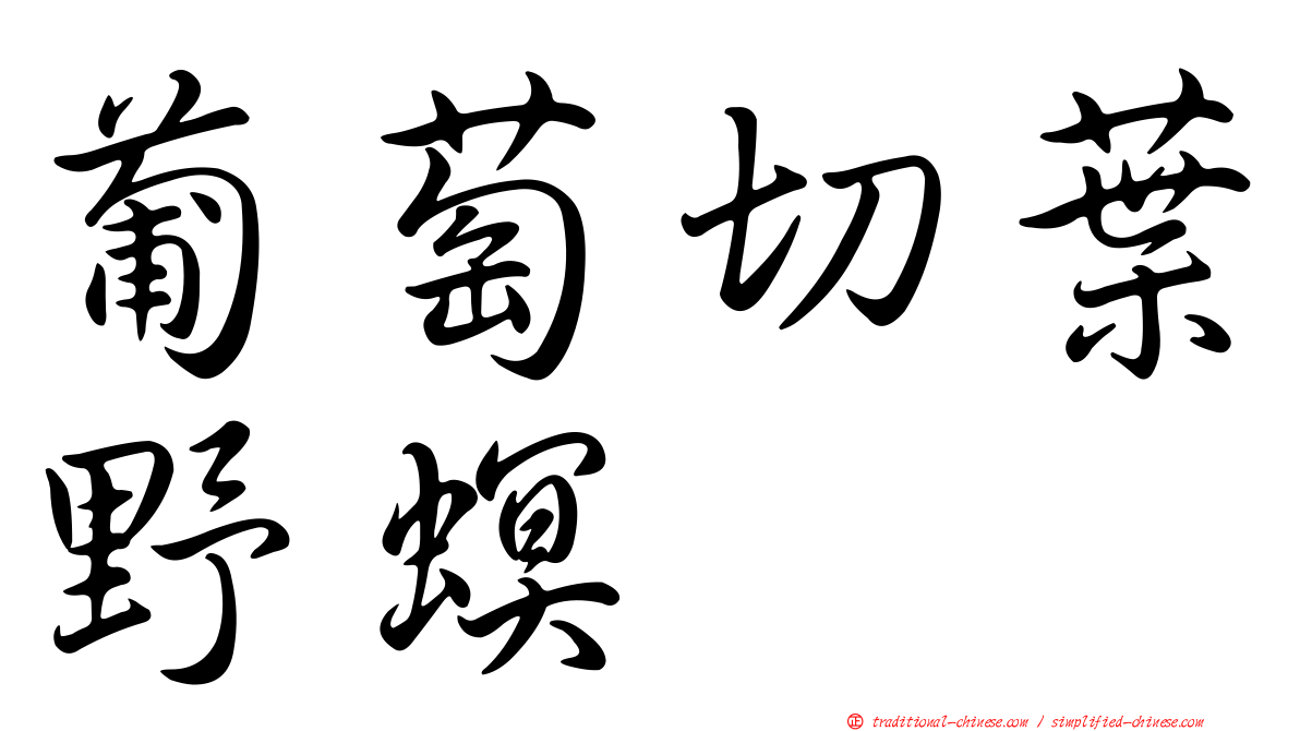 葡萄切葉野螟