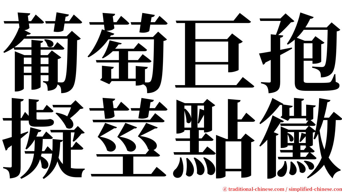 葡萄巨孢擬莖點黴 serif font