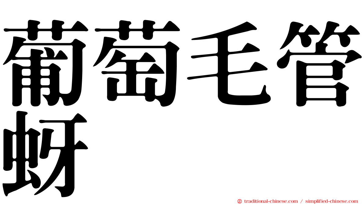 葡萄毛管蚜