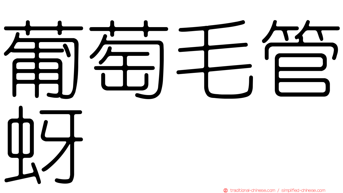 葡萄毛管蚜