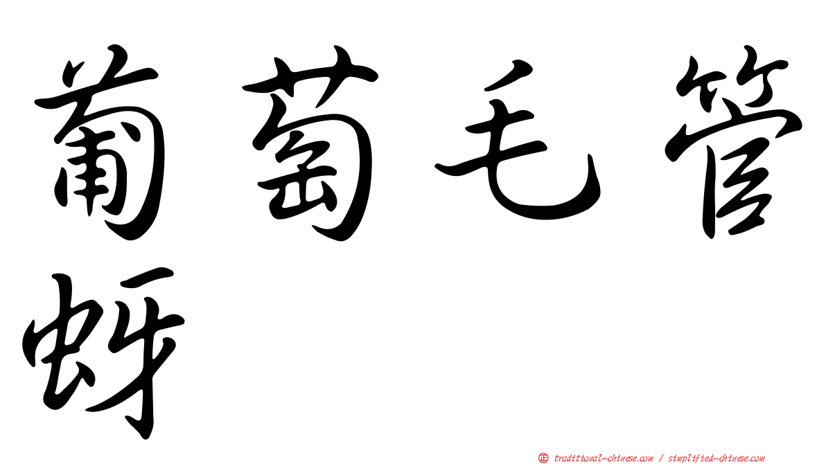 葡萄毛管蚜