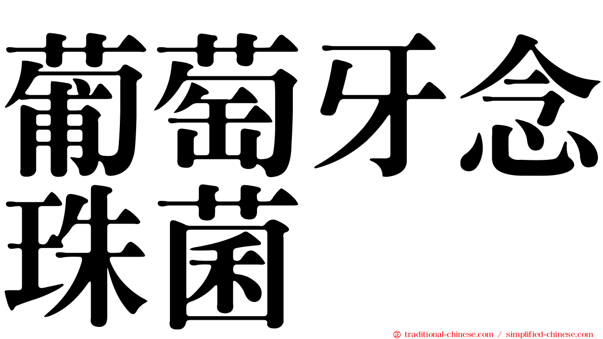 葡萄牙念珠菌